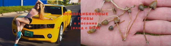 стафф Богородицк